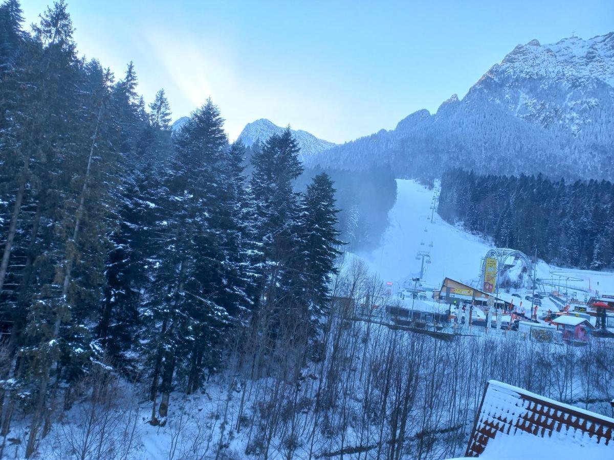 Kalinderu Luxury Ski Loft บุชเตนี ภายนอก รูปภาพ