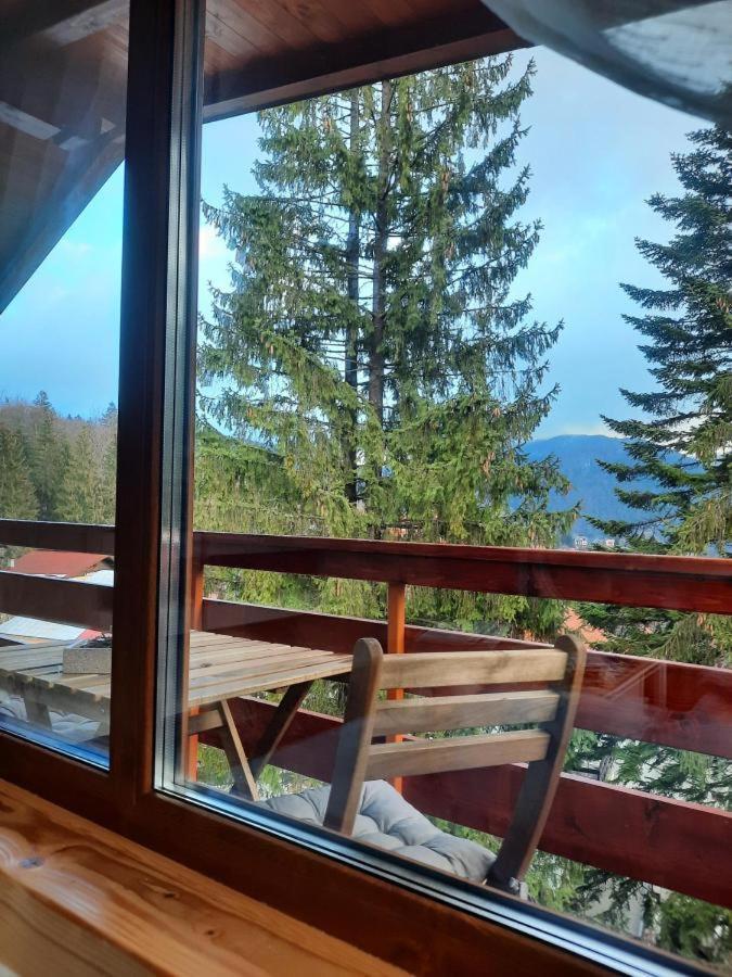 Kalinderu Luxury Ski Loft บุชเตนี ภายนอก รูปภาพ